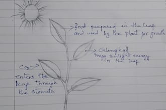 write neat and beautiful handwritten documents
