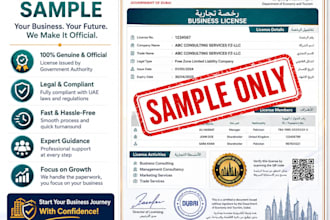 help you set up a company in dubai, uae, canada and USA