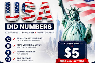 provide USA did numbers with 3cx setup, USA did numbers