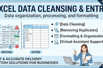 do professional data entry and excel data cleansing