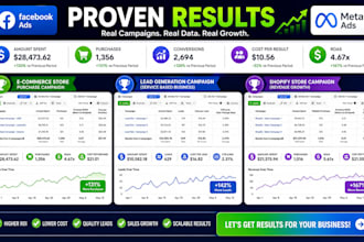 be your facebook ads manager and meta ads expert