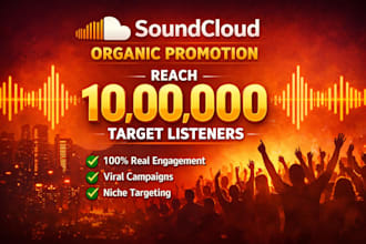 do soundcloud music promotion viral track using targeted advertising campaign
