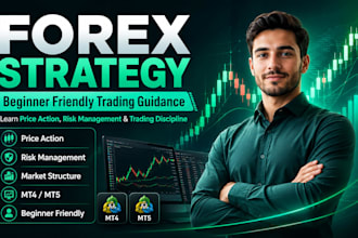 teach you a beginner friendly forex strategy,forex mentor