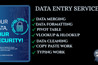 excel data cleaning, formatting, merging, and data entry