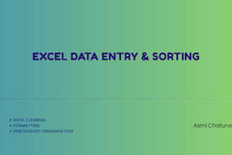 do excel data entry, data sorting, and data cleaning