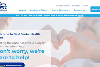 design or redesign your business wordpess website