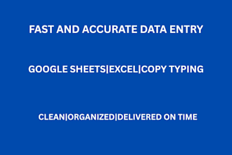 do accurate data entry in excel, word or google sheets