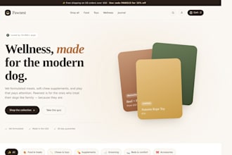 build you a store with 20 winning products