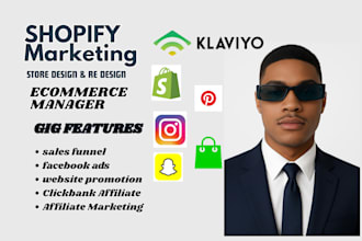 build shopify website, redesign shopify store, dropshipping website development