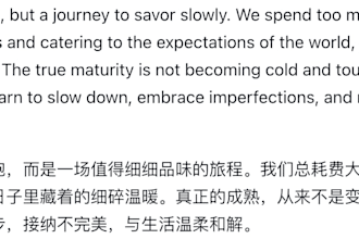 translate english to chinese or chinese to english for any docs