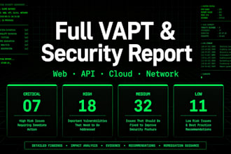 perform a full vapt and deliver a security report