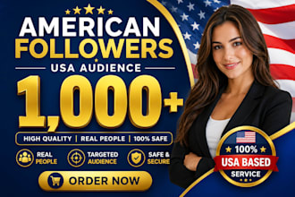 provide 1,000 organic USA targeted instagram followers