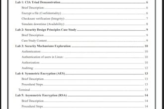 write professional technical documentation and reports