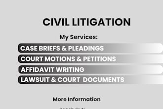 draft motions, lawsuits, complaints, petitions, pleadings, case briefs