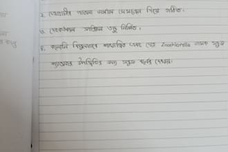 write and translate bangla to english content professionally