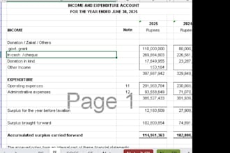do bookkeeping and prepare financial statements  in excel