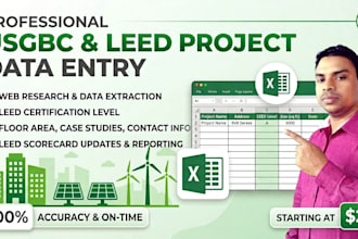 do professional excel data entry, web research and copy paste work