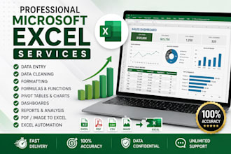 do professional microsoft excel data entry, analysis, dashboards, and reports