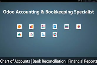 setup and manage your odoo accounting, bookkeeping and financial reports