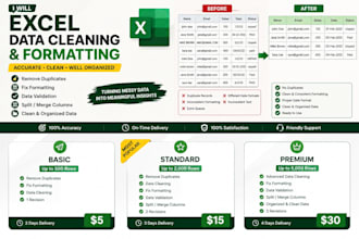 fix, format, organize and clean up your excel spreadsheet