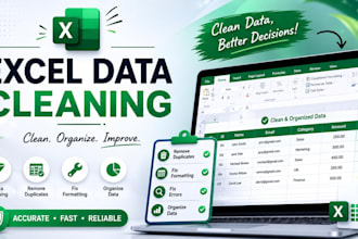 clean format and organize your excel data