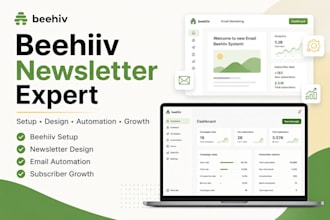 set up mailerlite email marketing, automation, and campaign