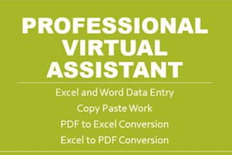 do excel data entry, data cleaning, and copy paste work