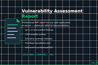 create a professional vulnerability assessment report for your application