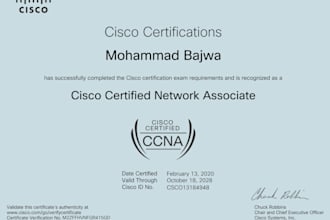provide professional IT support, network administration
