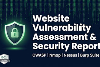 perform professional website vulnerability assessment and security report