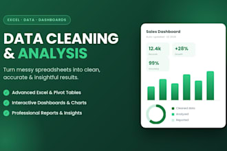 be your excel expert for data entry analysis and dashboards
