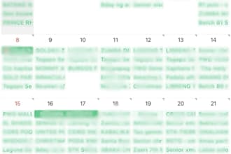provide something im goo at admin, email, scheduling support