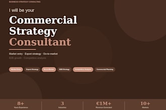 business strategy and commercial growth consultant