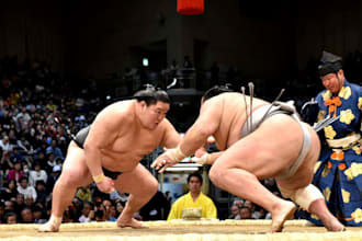 book sumo tournament tickets in japan