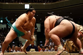 help you buy sumo tickets in japan