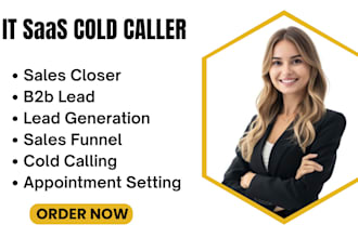 be cold caller for IT saas appointment setting appointment setter sales partner