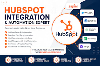set up hubspot, zapier, wistia, databox, seventh sense, pandadoc, and zerys