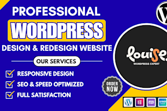 design a professional wordpress showcase website for your business