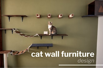 design a custom cat wall playground for your home