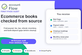audit shopify or amazon bookkeeping and payouts