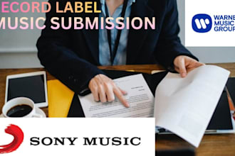 provide professional record label consulting and artist development strategy