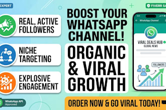 whatsapp channel promotion grow 90k channel followers whatsapp channel promotion