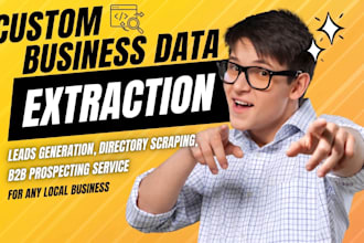 build a custom web automation tool for local business data extraction