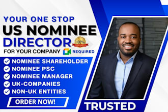 provide professional nominee director service for US and uk