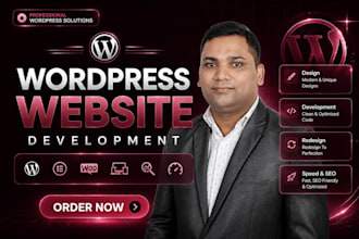 develop professional wordpress website for business