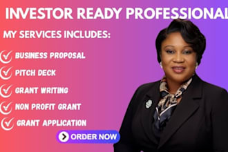 write an investor ready business plan for funding and investors