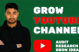 youtube video marketing consultation and audience research for channel growth