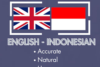 provide flawless human translation with localization