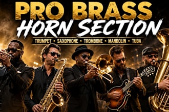 record pro brass horn section trumpet, saxophone, trombone, mandolin, tuba