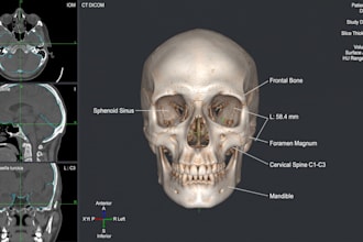 do medical imaging, 3d visualization, dicom, image analysis, python